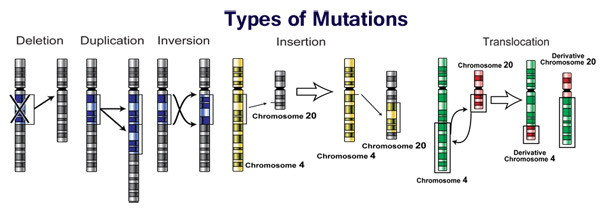 mutations