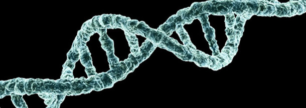 DNA mutation