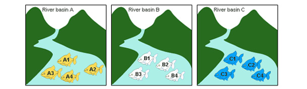 phylogenetics can aid conservation efforts